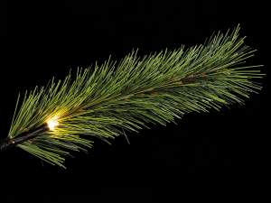 wholesale pine Christmas tree luminous branches