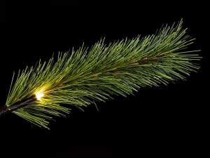 wholesale Christmas tree Christmas pine