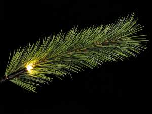 wholesale Christmas tree Christmas pine