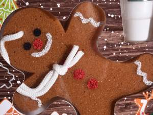 Grossista natale prodotti corpo spugna pan zenzero