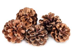 ingrosso pigne decorative naturali
