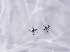 Ingrosso ragnatela bianca Halloween