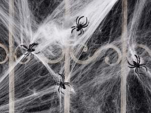 Grossista ragnatela vetrina Halloween