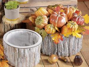 Ingrosso zucche decorative