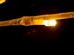 en-gros ramuri de aur de copac luminos