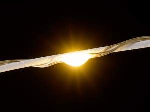brazi de Crăciun cu led alb en-gros