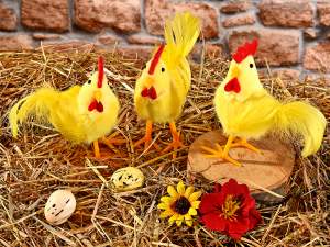 Décorations de Pâques en plumes de coq en gros