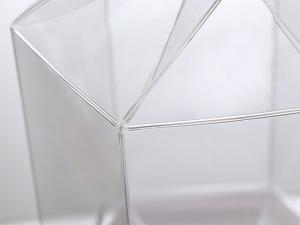 Cutii PET hexagonale en-gros cu închidere cu arc