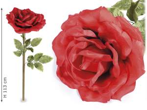 Decorazioni vetrine San Valentino