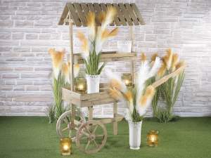 Grossistes chariots décoration vitrine bois