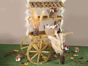 Vente en gros de chariots d'affichage pour vitrine