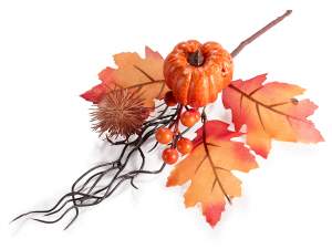 Embalaje y fotos de otoño