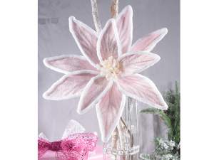 Poinsettia rose en gros