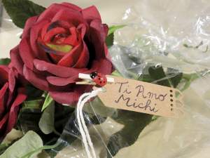 Pinzas de madera decorativas con mariquitas