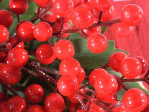 piese centrale cu fructe roșii cu ridicata