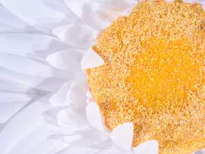 wholesale giant daisies to hang