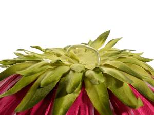 Ingrosso fiore gigante fucsia