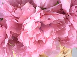 Gros bouquet de pivoines roses