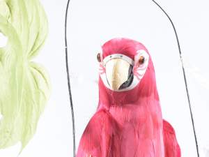 Grossiste perroquet decoratif