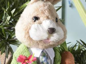 Grossisti conigli decori Pasqua orecchie modellare