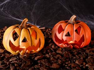 Wholesale Halloween Pumpkin Candle Holder