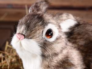 Ingrosso coniglietti decorativi