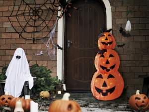 Conjunto de calabaza de Halloween al por mayor