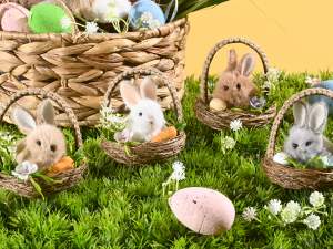 lapins en gros dans un panier de nidification
