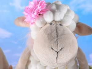 Long legged sheep wholesale