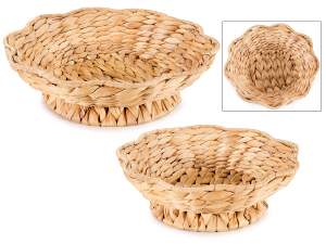 panier de fleurs de jacinthe en gros
