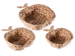 panier en gros bois de pommier jacinthe