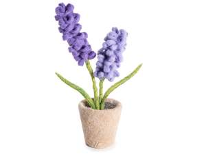 plántulas de lavanda al por mayor