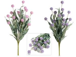 eryngium echinop all'ingrosso