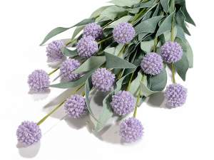 eryngium echinop all'ingrosso