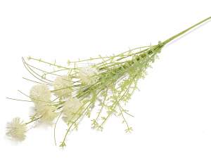 Ingrosso mazzo fiori dente leone