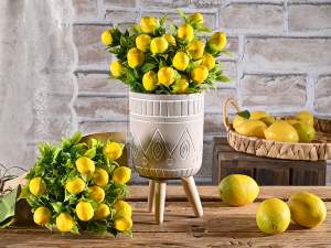 ingrosso limoni mazzi bouquet