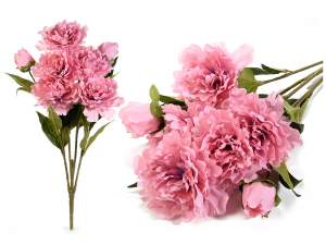 Ingrosso mazzo peonie rosa