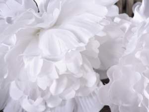 Ingrosso peonie e rose bianche