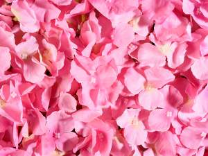 Wholesale carpet of flowers