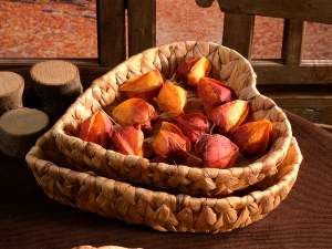en-gros fructe de padure iarna toamna decorative
