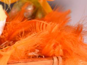Colored feathers wholesaler