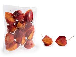 Packaging e pic autunnali