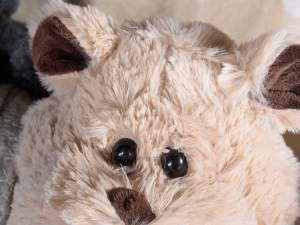 Scaldotto peluche all'ingrosso con coperta
