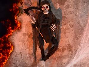 grossista decori vetrina halloween