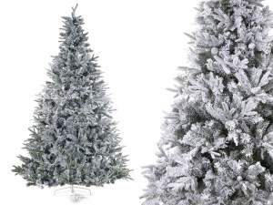 grossista alberi di pino innevato