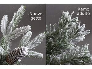 grossista alberi di pino innevato
