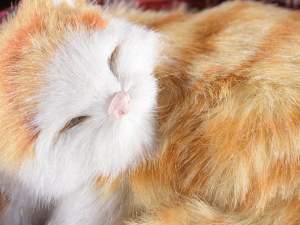 Comert cu ridicata pat pentru pisici din blană fal