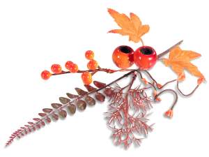 mayorista de ramitas de recolección de otoño, paqu