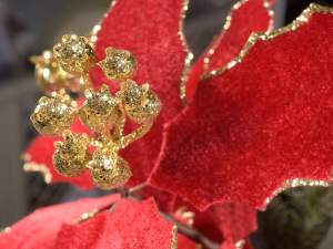 ramura de poinsettia cu ridicata