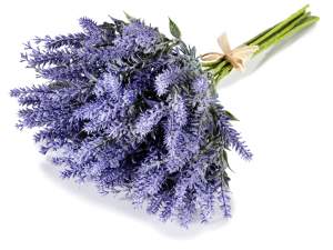 Ramos de flores de lavanda al por mayor